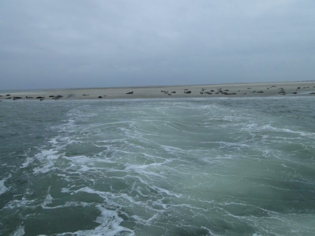 HWK Texel 231.jpg